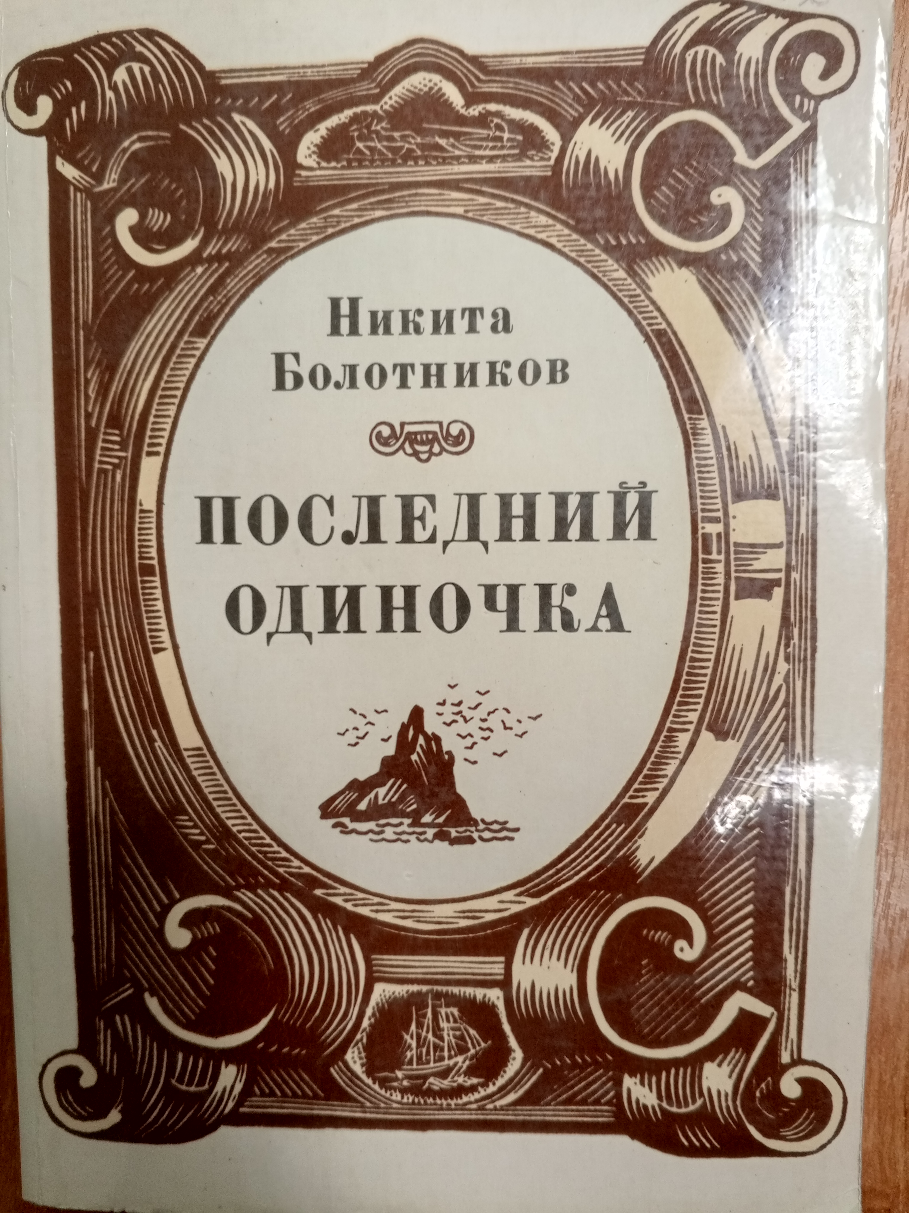 Болотников Н. Последний одиночка.